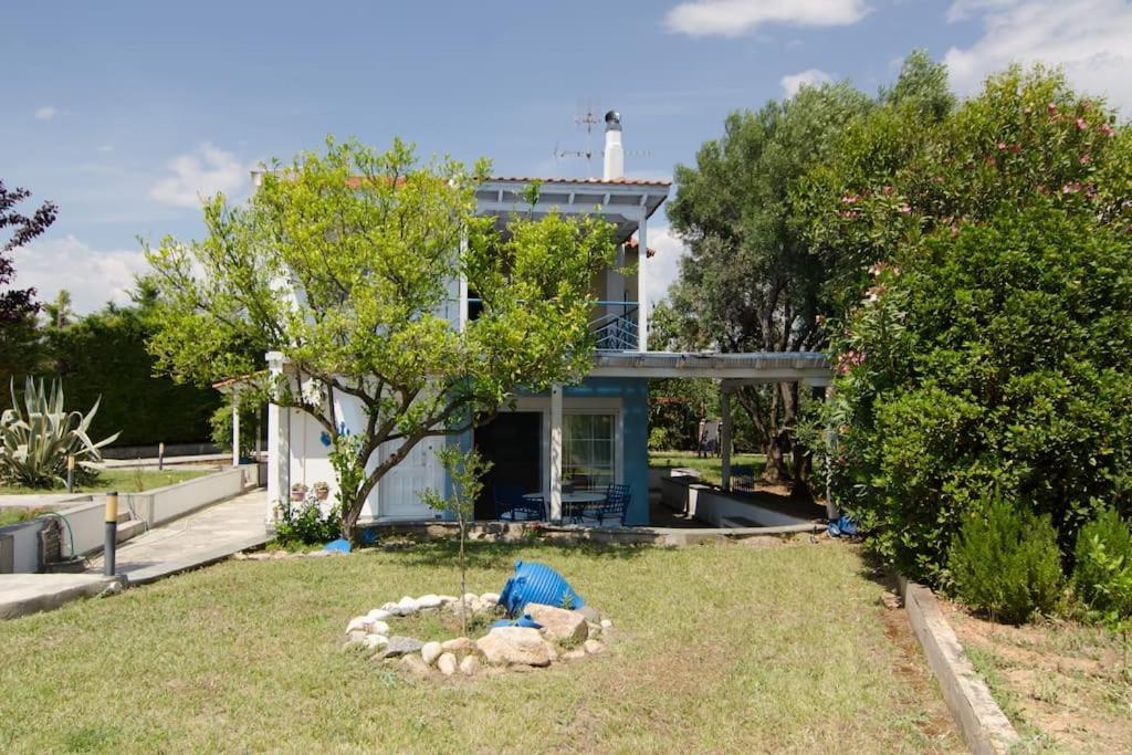 弗洛伊塔Wonderful House With Private Garden别墅 外观 照片